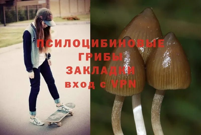 Псилоцибиновые грибы MAGIC MUSHROOMS  Красноуфимск 